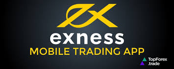 Trading Success with Exness Egypt Your Guide to Forex Trading